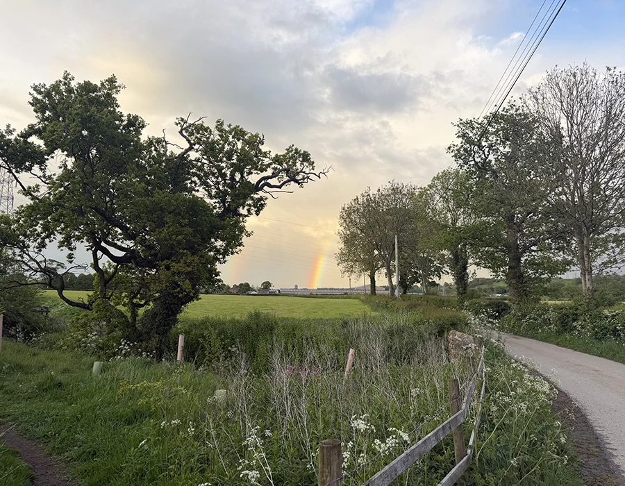 A landscape view of a rainbow between trees.